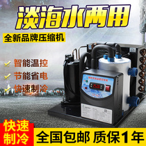  Fish pond chiller Seafood pool chiller Small cooling aquarium breeding warm and cold water cooler