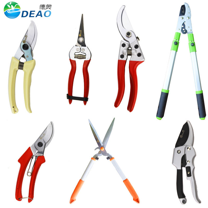 Garden Forest Green Trimming Green Fence Cut Lawn Large Scissors Fruit Trees Prunes cut fruits and vegetables fruits and vegetables Vigorous Coarse Branches Cut