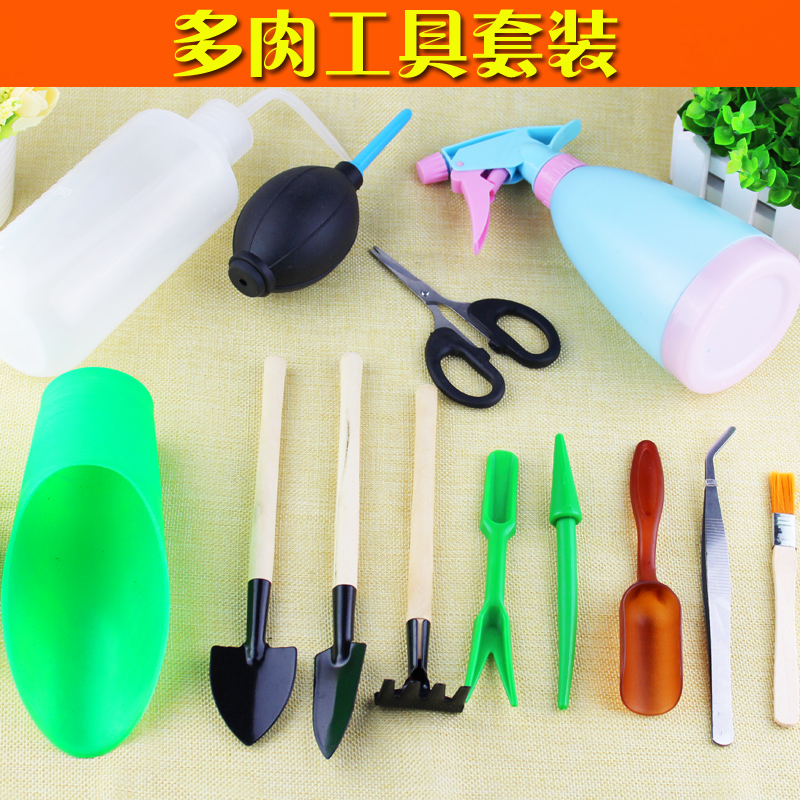 Mini gardening succulents selection tool combination set seedling soil shovel watering bottle pot balloon blowing tweezers
