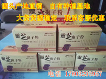 Lucid Lingzhi Spore Powder 2g * 250 Bayuan Taishan Affordable Simple Dress Gift Box Wall-broken Lucid Lucid and Lucid Lucid and Lucid Lucid