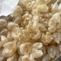 Chicken Bubble Plastic Flower Gel Glies Dolkin Preparation Confinerfochriper False Fish Deerance Endometrial Conditioning Uterine Live Link