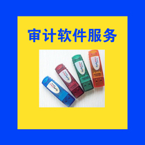 Dingxinruo Accounting Firms financial auditing software automatically generates drafts for auditing accounts