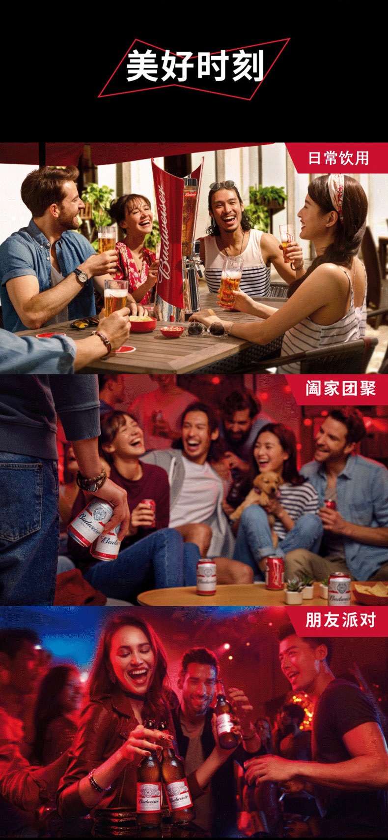 百威 英超联名定制限量罐 500ml*12听 图3