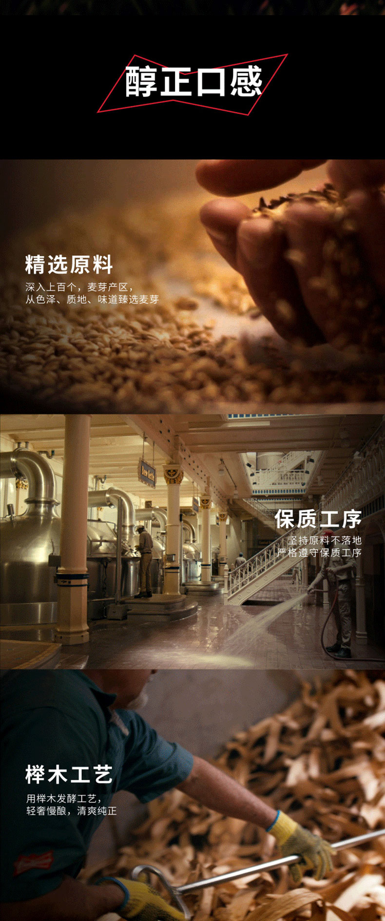 临期特价 百威啤酒 英超联名定制限量罐 500ml*24听 图3
