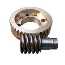  Copper sleeve worm gear worm custom Tin bronze Aluminum bronze Brass worm gear custom copper reducer worm gear Worm gear