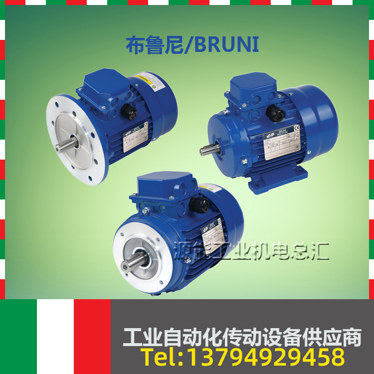 Bruni motor 0 18 0 37 0 75 1 1 1 5 2 2 3 4 5 5 7 5 15KW Bruni