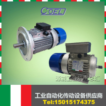 Italy COEL brake motor F71B4 F80B4 F90LA4 F100LA4 F112MB F132MA4