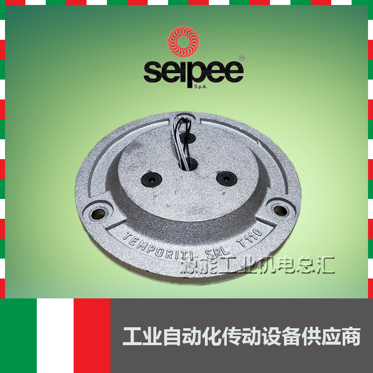 Italy SEIPEE brake, brake coil, brake pad, friction pad, SIPI motor