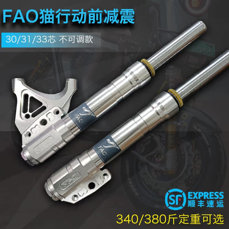 FAO Cat before the action of seismic avoidance calf N1S U B M2 9 modified 30 31 33 core front shock shelter