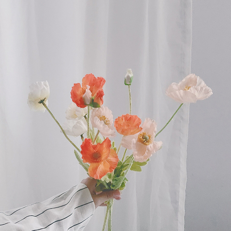 ins Korean poppy flower simulation flower fake flower poppy room decoration stage props homestay soft-covered coffee shop