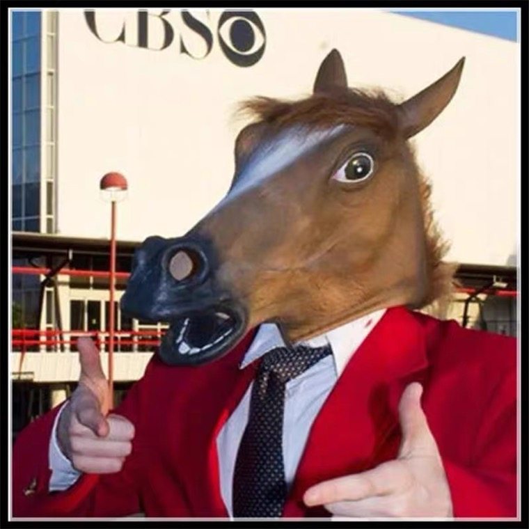 面白い動物の馬の頭のマスク コスプレのヘッドギア 犬 馬男 馬の頭のマスク TikTok 面白いユニコーン ハロウィン