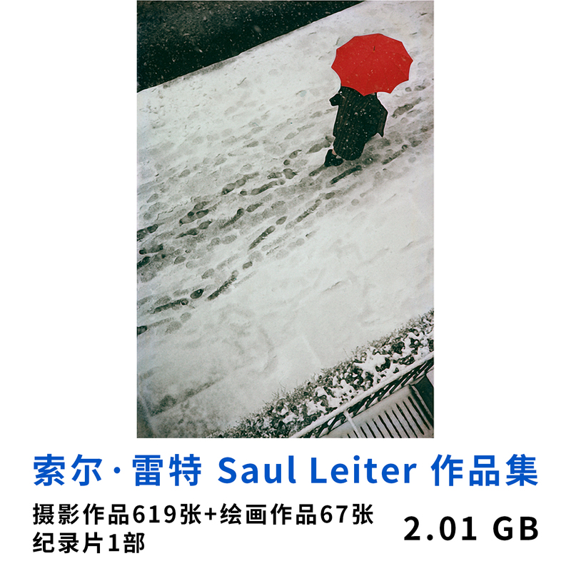 Saul Leiter's Photography Portfolio Digital Version Creative Street Photography and Documentary Photography Reference