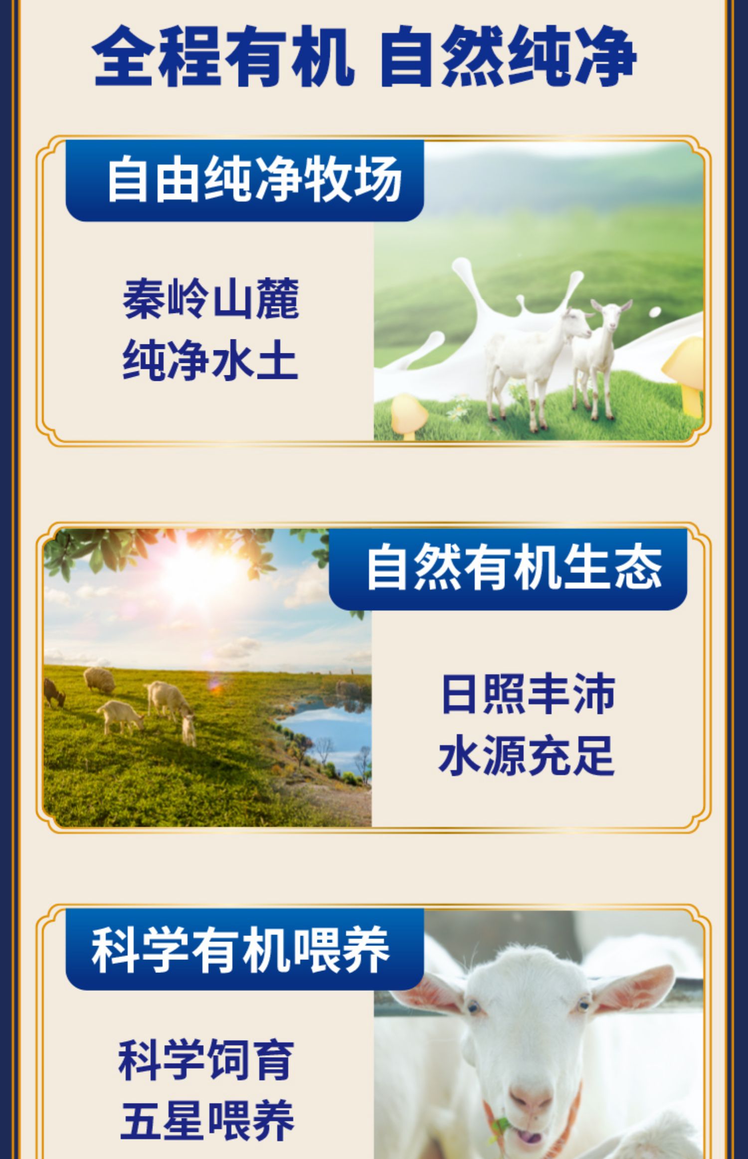 安享好物 安享A级纯奶-卓牧有机纯羊奶 国标 