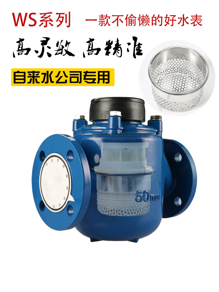 Ningbo brand WS-40~200 high sensitive water meter wide range vertical screw type liquid sealed water meter