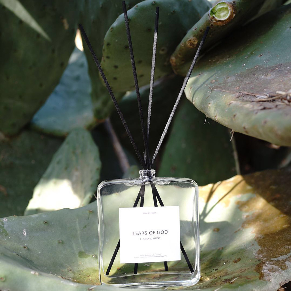 floramuse Fumu fire-free aromatherapy fragrance essential oil long-lasting fragrance diffuser rattan ornaments fresh air