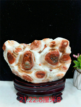  Natural meat stone Pork stone Strange stone Ornamental stone Rough stone personalized home gifts collection ornaments Special stone