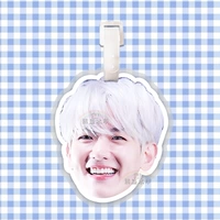 Bian Boxian Buggage Brand 02