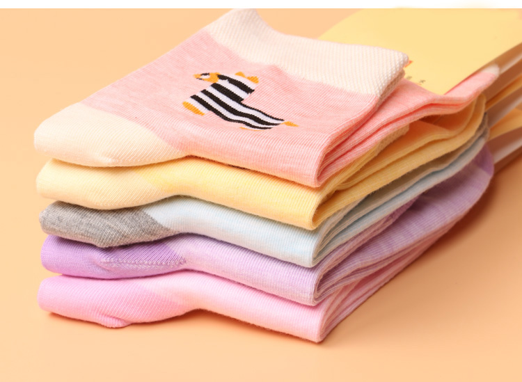 Tất mùa thu và mùa đông, ống của phụ nữ, vớ cotton, thắt lưng, nữ, học sinh cấp hai, cô gái mùa thu, cháu trai, thùng, khử mùi tất kháng khuẩn khử mùi