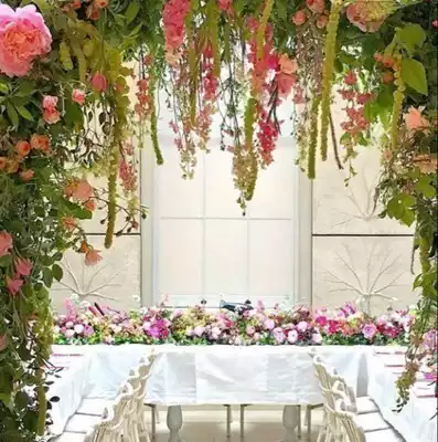 you fei zhuan pai connection