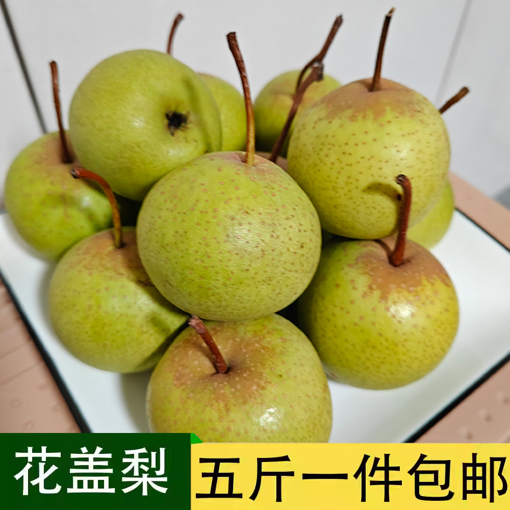 东北花盖梨,酸甜可口的冻梨首选,5斤包邮怎么选?-梨-淘宝好物网
