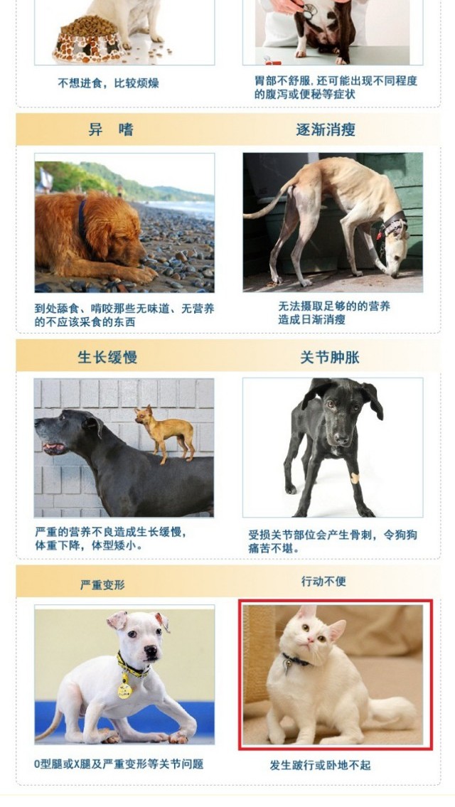 Pet có thể dấu vết nguyên tố dinh dưỡng vàng pet dog dog sản phẩm chăm sóc sức khỏe sữa bột cho chó con