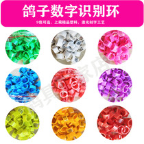 Pigeon foot ring Pigeon supplies Pigeon mark ring Digital plastic snap ring Identification ring Foot ring Electronic ring Custom