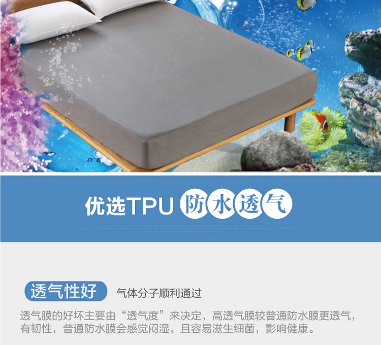 Giường chống thấm 笠 尿 Tấm trải giường thoáng khí Tấm trải giường đơn 1,5 / 1,8m Tấm phủ bụi nệm Simmons 	ga giường bo chun