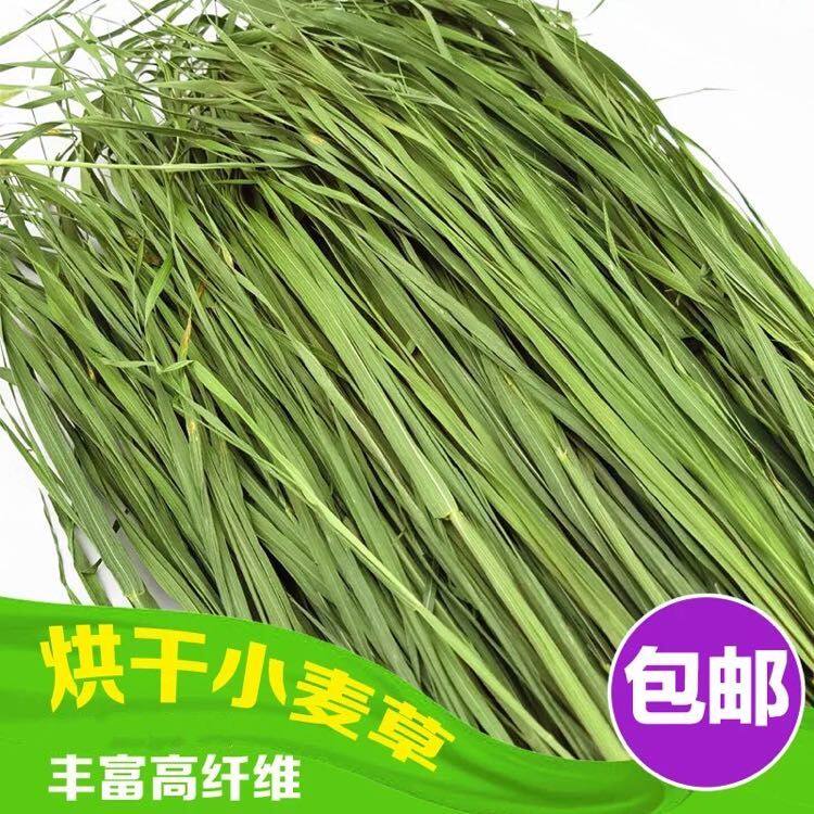 21 years of drying wheat grass hay forage rabbit chinchilla guinea pig guinea pig feed gross weight two pounds less spikes