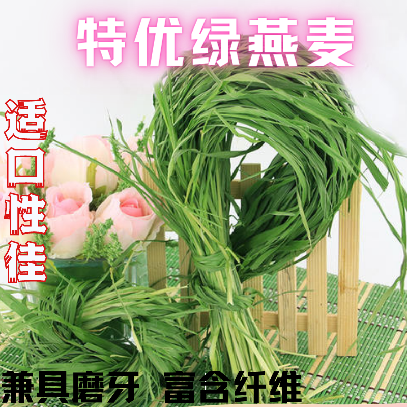 22 years of new green oat grass Australian wheat grass rabbit chinchilla guinea pig hair weight two pounds can replace Timothy grass edible
