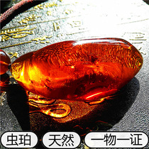 Myanmar raw ore pure natural beeswax amber insect amber three treasures scorpion fossil insect specimen plant living water gall pendant