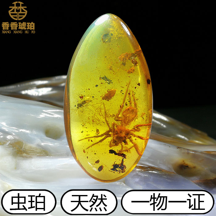 純粋天然ビルマ琥珀ペンダント昆虫琥珀クモ生きた水虫こぶ植物昆虫動物琥珀化石卵表面水滴