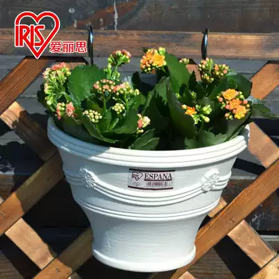 IRIS flowerpot resin plastic half-wall balcony hanging basket orchid Golden Ke seed flower fleshy green plant Alice wall hanging