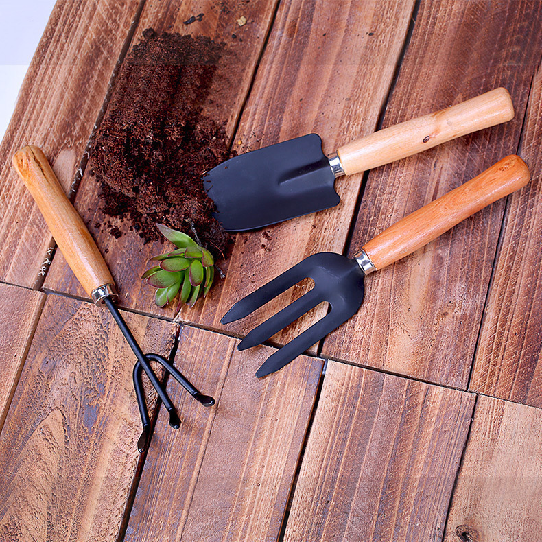 Rake, shovel, fork, ripper, shovel, large three-piece set of gardening tools Potted succulent green plants, flowers, balcony, vegetable planting