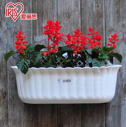 IRIS flower pots rectangular semi-wall-mounted plastic multi-meat type vegetable gondola flower Alice strip flower pot