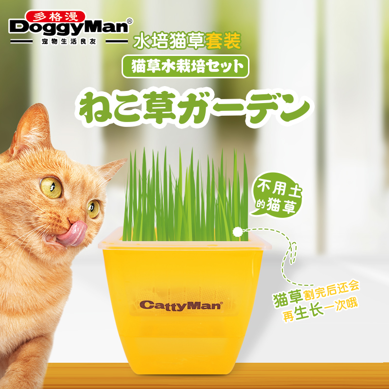 Japanese Dogman cat grass seed cat snacks cat hair ball water culture wheat planting set cat supplies