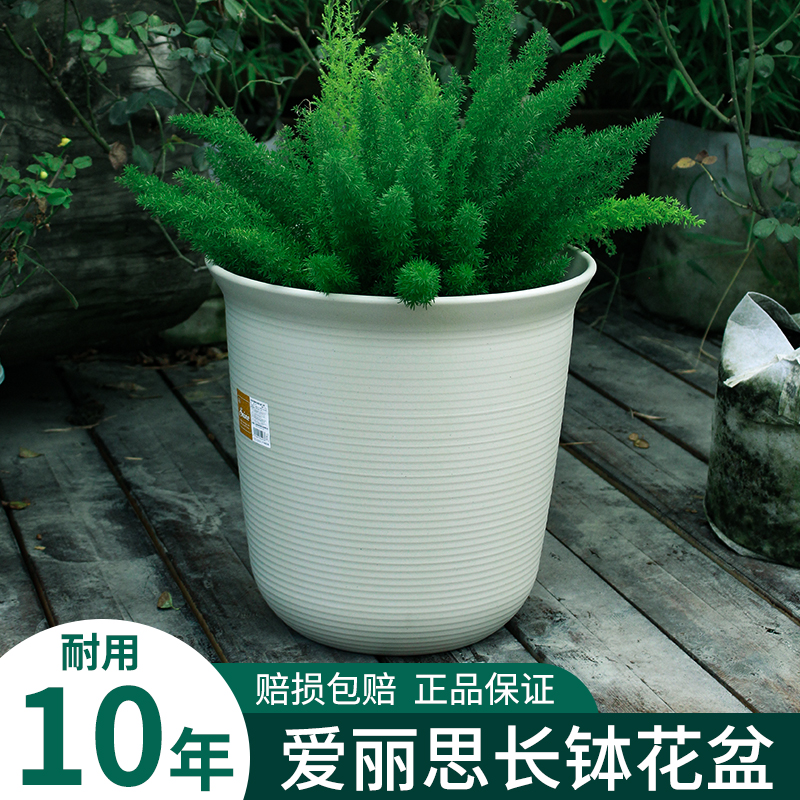 IRIS pot Alice plastic gallon flower pot resin succulent thickened gold ge household large clearance