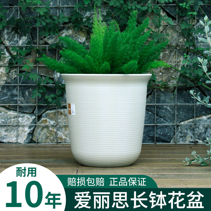 Alice thickened resin plastic long mantle green tree orchid green plant imitation ceramic clearing Alice flower pot