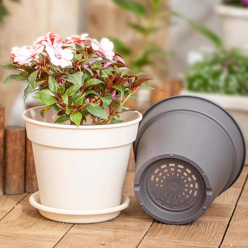 Love Lith Flower Pot Alice Basin Plastic Resin Round Meat Thickened Brief Orchid Green Loo Imitation Ceramic Clear Barn 