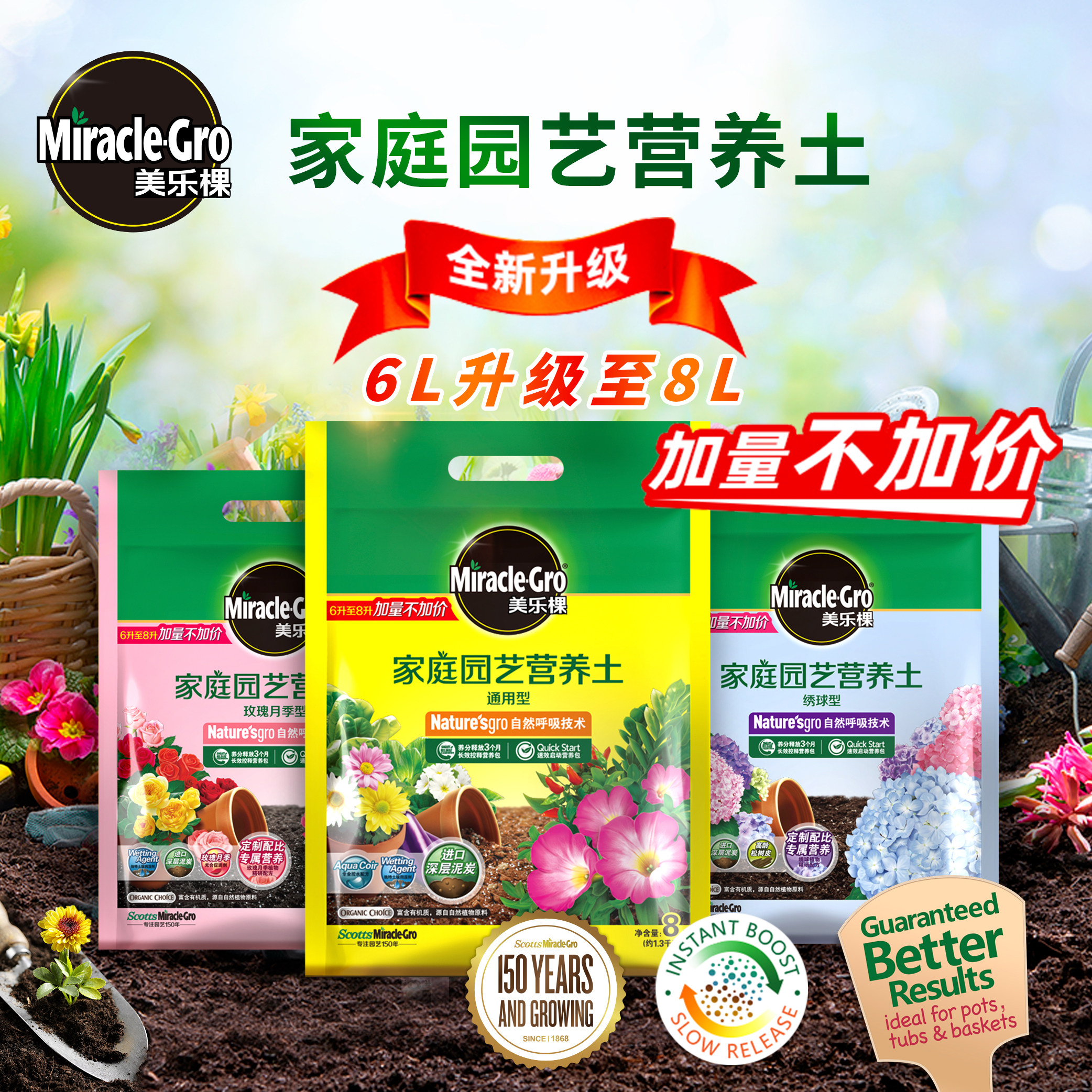Mei Le Tree Nutritious Soil Monthly Rose Flowers for Household Flowers for Flowers and Garden Month Flowers