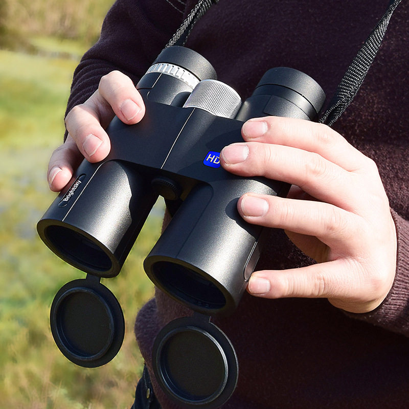 Binoculars 12x42 high-power high-definition handheld portable outdoor travel low-light night vision bird watching glasses
