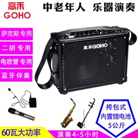 Gaohe 833 loa guitar Erhu saxophone điện thổi chuyên dụng nhạc cụ cầm tay sạc âm thanh - Loa loa loa wharfedale