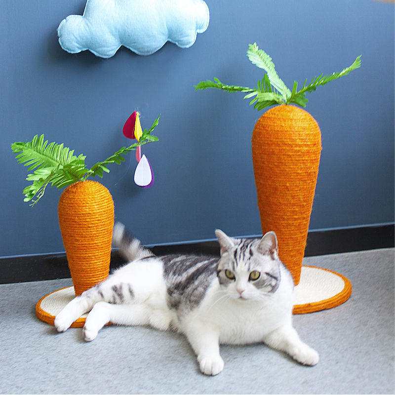 Carrot cat grab pad shelves and cats touch the grip of the chitty cat wear toy hemp rope