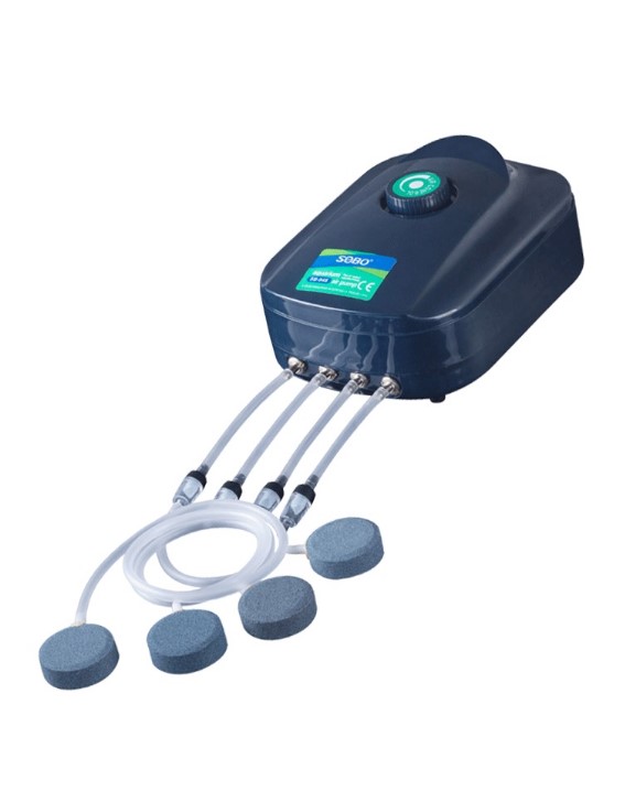 Home fish tank oxygenated lbs fish raising gas pounds to help Zeng Oxygen baton oxygen Bomb oxygen Bomb oxygenates Oxygen Pounds