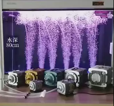 Oxygen pound selling fish oxygen Rod pound oxygenated state buy seafood restaurant oxygen pant oxygen Pon oxygen machine flushing oxygen pool multi-port