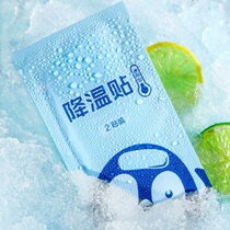 Summer military training uses heat-reducing heat-reducing artifact to cool down and paste ice belt bag for students to cool and remove heat paste mobile phone heat-proof artifact