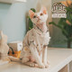 Sphynx hairless cat German pet cat cotton summer light and breathable grey cherry short-sleeved vest ເສື້ອປັບອາກາດ