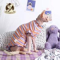 Кошка без mirlet -кошачьи раковины немецкая кошка высокая бомба с чистыми хлопковыми ямами с короткой куклей