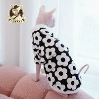 Черный цветок