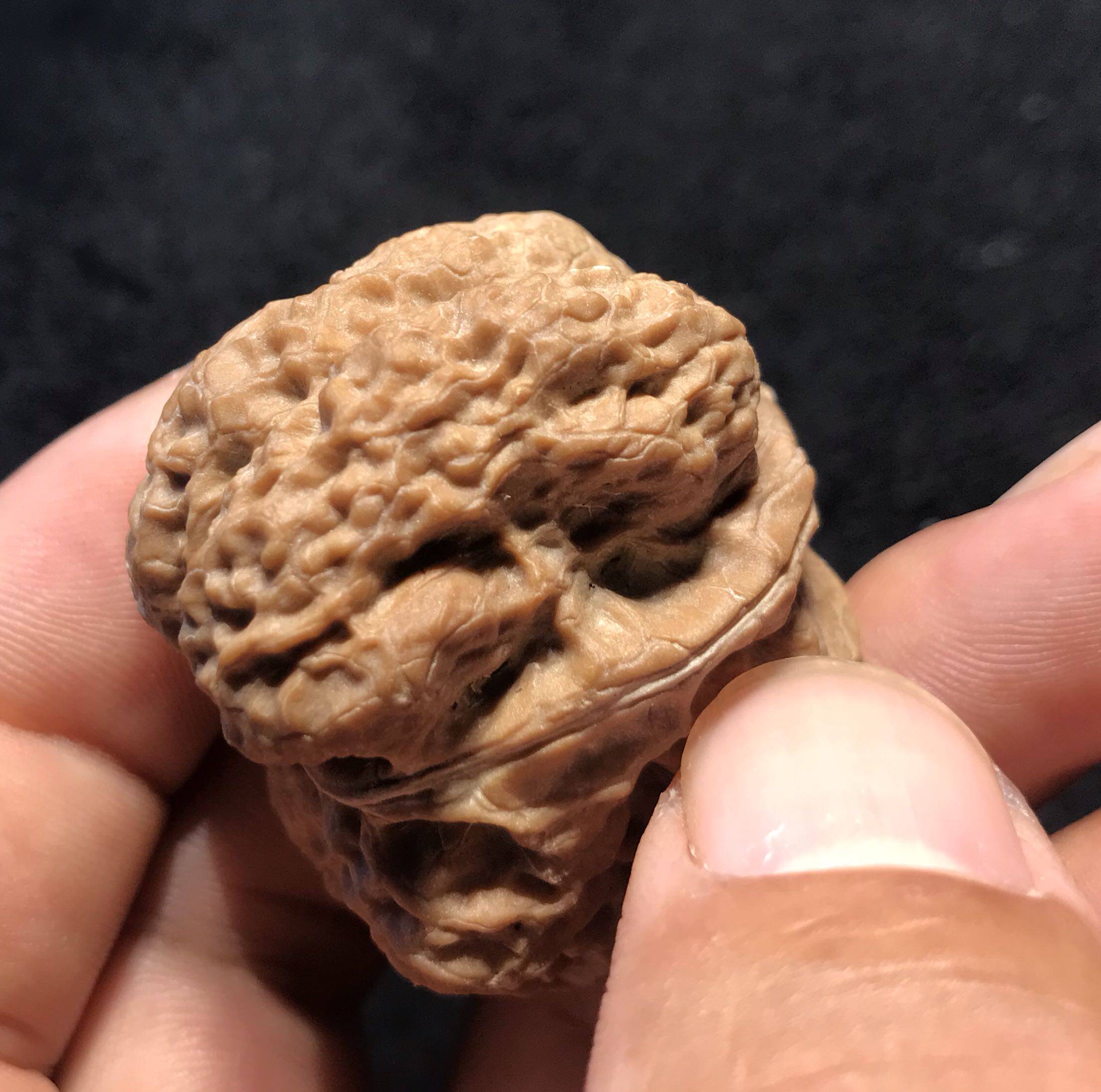 20 Years New Section Tree Pure Wild Open Back Gold Toad King Toad Head Lion Head Cargo Jade Kirin Dwarf Pile Pubic