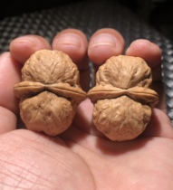 Pure wild text to play with iron walnut fragrant courtesans gold toad with goose bumps 40 Dimensions of the lions head